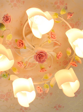 00       落入法眼   发布了  欧式田园吸顶灯客厅韩式卧室温馨浪漫