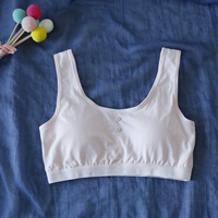 604 Button Pink