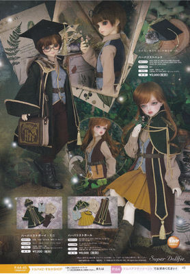 taobao agent Volks Tokyo DP42 Herbal Set Series 2 3 points 4 points