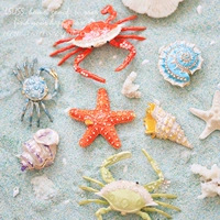LSUSS Fantasy Girl Series Морская биологическая украшение показывает звезды Shell Crab Chami