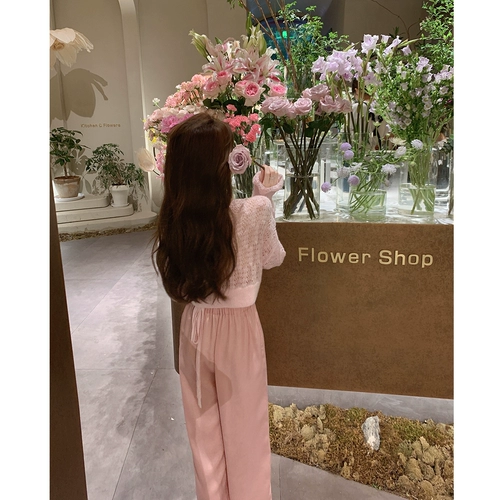 Джилл старшая сестра Wedgwood Holiday Slide Stars