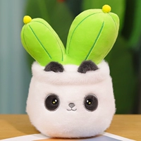 Панда кактус 25 см