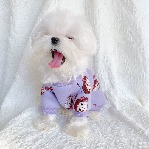 Одежда для домашних животных весна и осень Бичин Мальтийские маленькие собаки и кошки Симпатичная фиолетовая модная брендская толстовка теплая сладкая девушка
