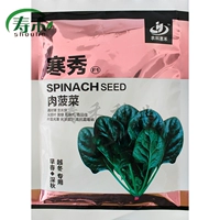 Hanxiu Meat Spinach 300G Original [ультра -тепловое сопротивление] Осеннее и зимнее поле посвящено