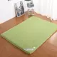 Tầng Mat Nệm Mat Tatami Nệm Người cao tuổi Mùa đông và Mùa hè Sử dụng kép Cotton Mềm Cứng Lưu trữ hai mặt Zipper nhỏ - Nệm