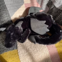 Черный дракон/ночной дракон Onyx Dragon