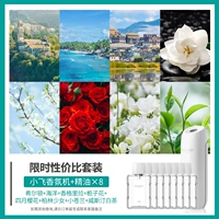 Xiaofei+8 бутылок эфирного масла (набор -Эффективный набор затрат)