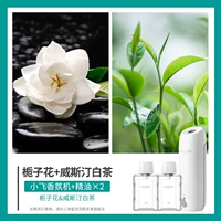 Xiaofei+Gardenia Flower+Westin White Tea