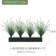 Little Wolf Tail Botanical Group B [Forest Green 55 см]