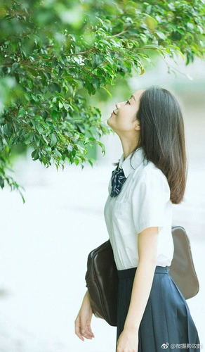 Рубашка, демисезонный базовый лонгслив, большой размер