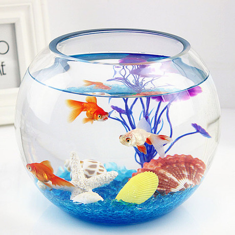 爱逛街为您找到小型鱼缸相关的宝贝,您可以在下面的板块中挑选喜欢的