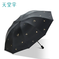 Плод — черный (10-костный большой зонтик).