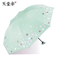 Романтическая Сакура-Зеленое озеро