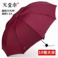 [Флагманский магазин подлинный] Bluster Campaign Umbrella-113 см диаметр