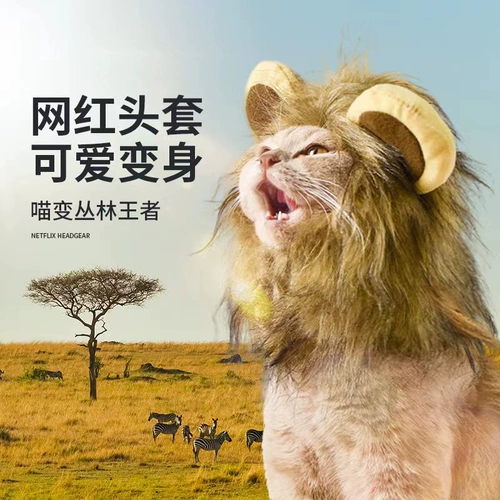 Платье -поддержание домашних кошек и собачьи поставки Mi Head, Lion Head, фальшивые уши в новые домашние шляпы
