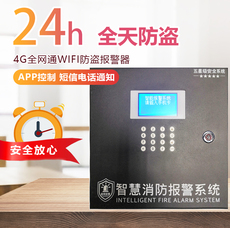 Противоугонная