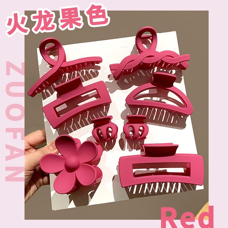 Dragon fruit color 8 piece set