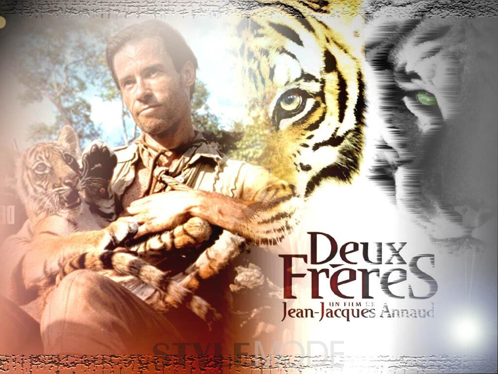 正在热映的迪斯尼大作,上映首周票房破亿,讲述狼孩毛克利在森林中面对