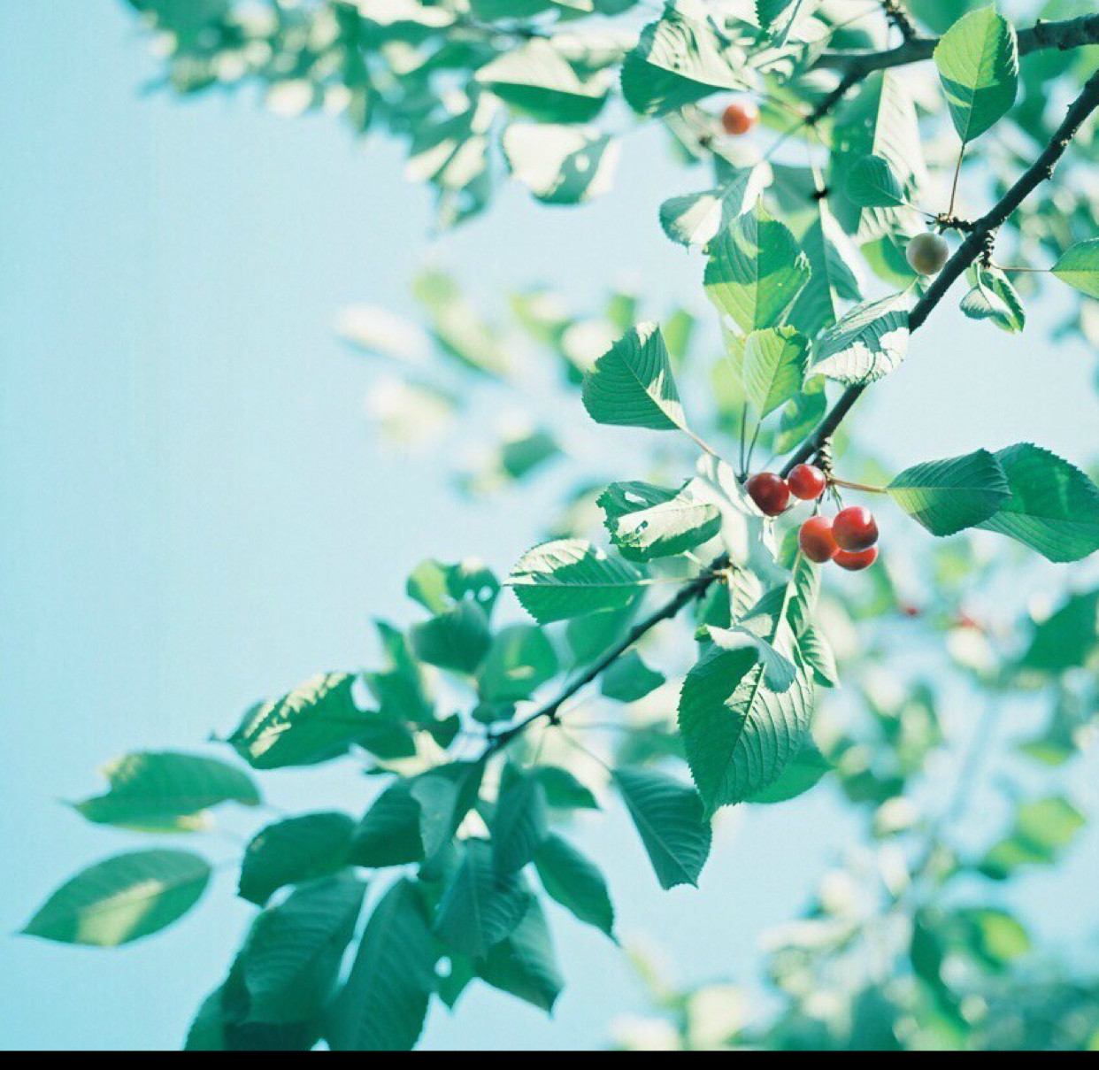 爱逛街为您找到biore碧柔卸妆油相关的宝贝,您可以在下面的板块中挑选