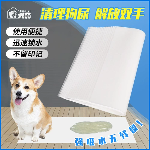 Протирать собачье моча моча мочи подгузники ПЭТ чисты