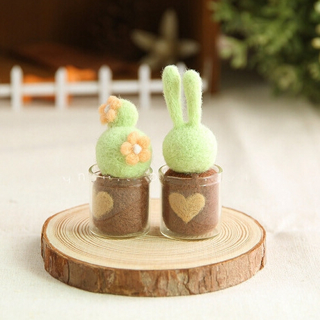 [轻暖时光]多肉迷你植物盆栽羊毛毡戳戳乐新手材料包送工具包邮 - 爱