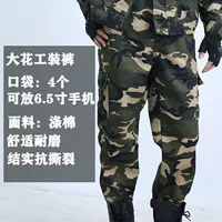 Новые дорожные штаны