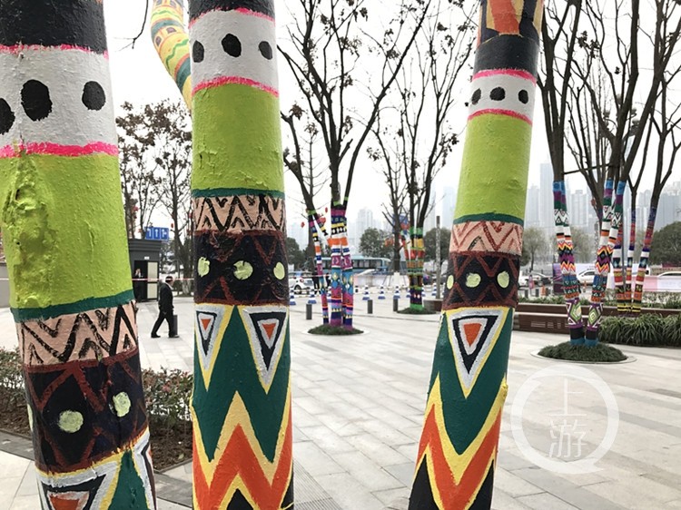 最近,市民马先生在南滨路散步时,发现一些树木的树干被涂上了彩色涂料