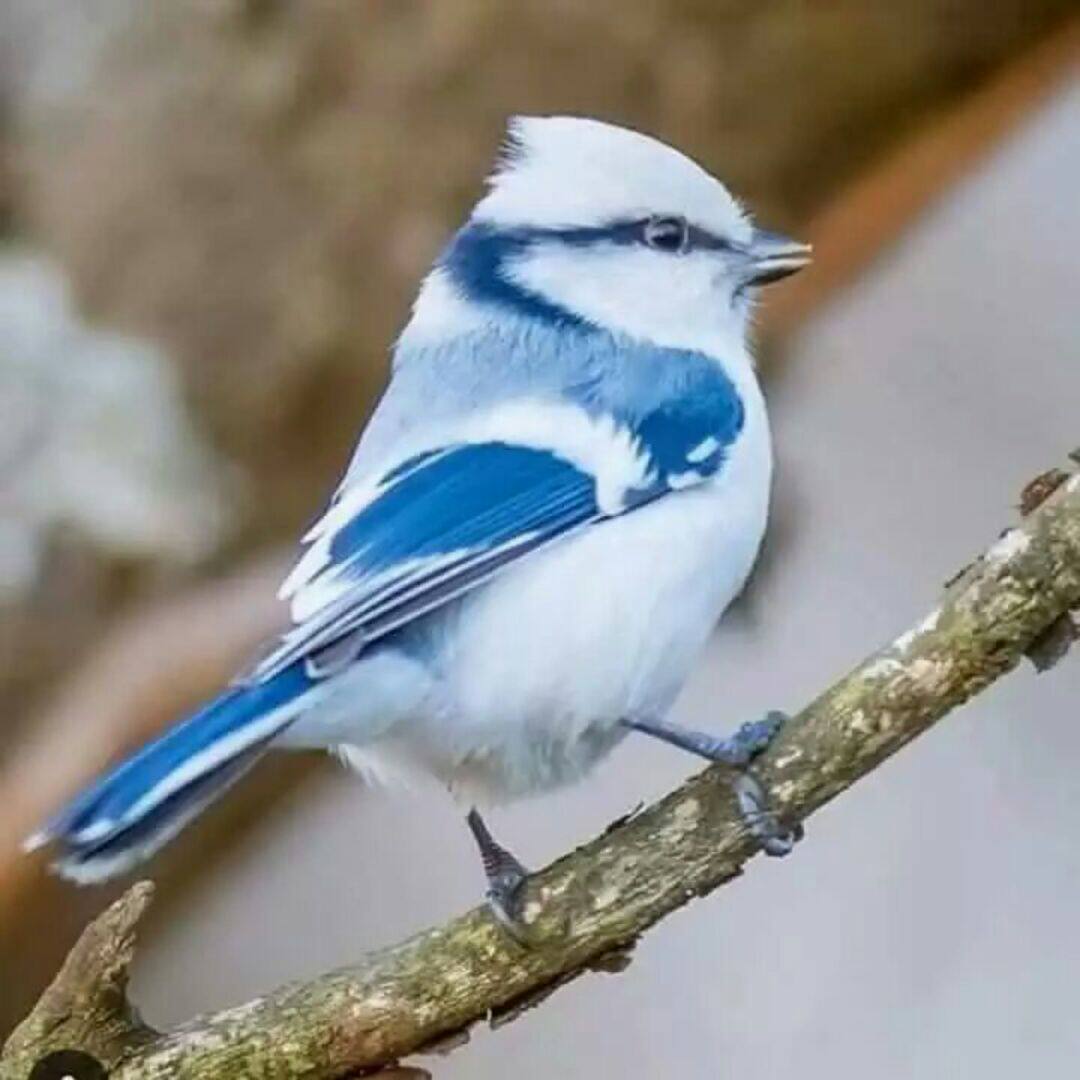 【黑金石茶盘】_茶具乌金石图片_石头茶盘价格_搭配分享 - 爱逛街