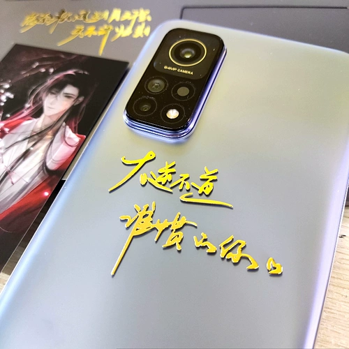 Во время слушаний по первоначальному вступительному экзамену в колледже были услышаны романы MU Suri.