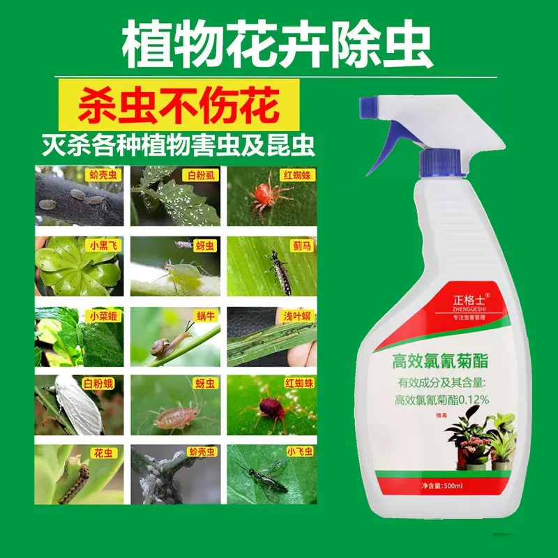 花盆盆栽杀虫剂家用土里花木办公室土壤除虫剂多肉植物水养药白粉 Taobao