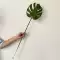 cây trúc giả PU cao cấp mô phỏng phong lan Clivia Phalaenopsis lá trang trí cắm hoa cây xanh trang trí phòng khách cây trồng trong chậu anthurium cây giả đẹp chậu hoa giả để bàn Cây hoa trang trí