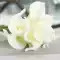 Mô phỏng hoa loa kèn bó hoa phòng khách đặt trên bàn ăn bình hoa pu cảm thấy đồ trang trí cây xanh Châu Âu hoa giả trang trí hoa nhỏ bình hoa giả để bàn giả hạc núi chúa Cây hoa trang trí