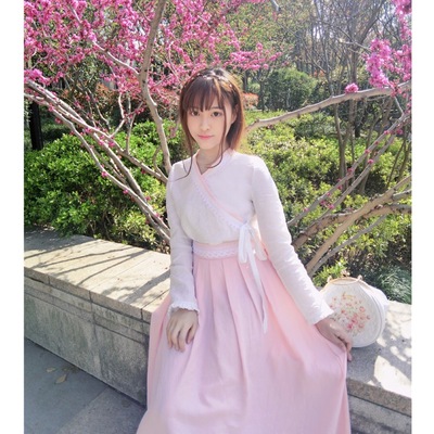 taobao agent Genuine spring Chinese embroidery, Hanfu, top, with embroidery, Chinese style