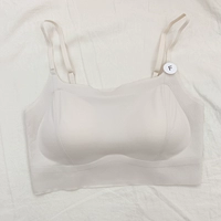 Мелкий абрикос