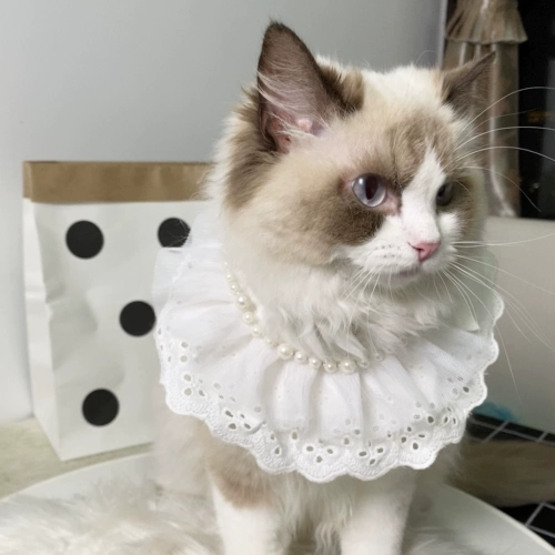 Тканевая марионетка сине -белая короткая кошка плюшевая плюшка Corgi Dog кружев