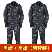 Высокий черный питон [2 комплекта]