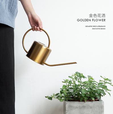 taobao agent [Gu Yu] Nordic wind ins, flesh -poured flowers, kettle stainless steel waterwing kettle artifacts to pour flowers long mouth