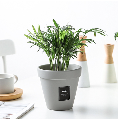 taobao agent Gu Yu ｜ Nordic ins Simple gray desktop succulent breathable small pottery pot plant flower pot