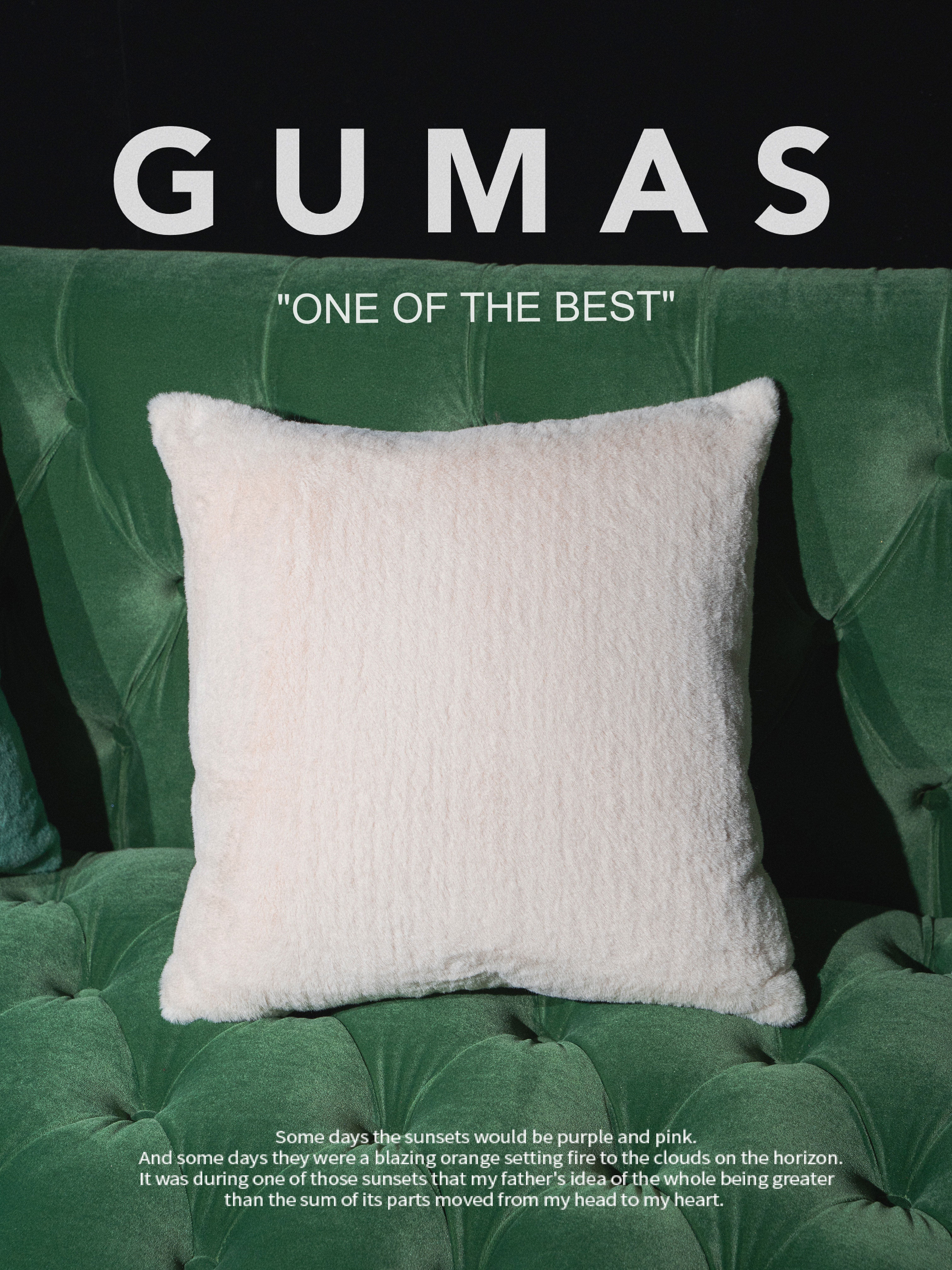 Product detail image
