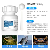 Чистый DMPT (только общий эффект продуктов питания) в бутылках 60 г, 1 ложка 1,5 г