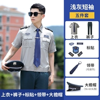 Стиль 2011 года [светло-серый коротки