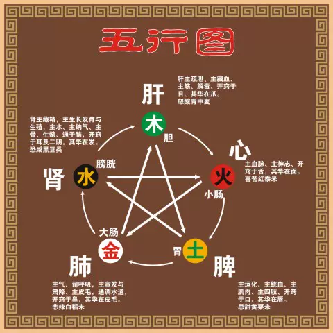 後天八卦基礎原理貼陰陽五行空間時間人倫身體數字顏色形狀需求貼