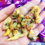 蚬 即 即 肉 肉 肉 即 即 即 即 即 即 网