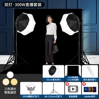 [Профессиональный набор съемки] 2*2 Фоновая стойка+2*3 Всасывающая ткань+300 Вт мягкий светлый шар*2 [Профессиональный набор для съемки] 2*2 Фоновая стойка+2*3 Поглощение ткани+300 Вт мягкий шарик*2