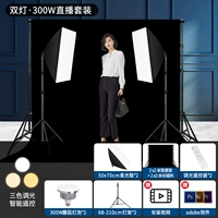 [Введение в набор съемки] 2*2 Фоновая стойка+2*3 всасывающая ткань+285W мягкая световая коробка*2