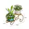 Sắt pothos giá đựng hoa giá để đồ ban công con lắc sàn đứng trong nhà đơn giản giá treo chậu hoa phòng khách nhện phong lan phụ kiện ưu đãi đặc biệt kệ giày nhựa Kệ