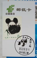 Extreme Postmark Card Post 8 очков Panda Mamps, продавая «родной город Panda».
