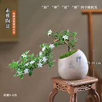 Сын Тао Печка Pen Popult Facebook и купите подарочную тарелку с водой