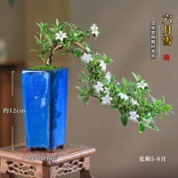 Коллекция квадратов Blue Glaze, плюс покупка подарочной тарелки