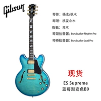 ES Supreme Blueberry Gradient Color B9